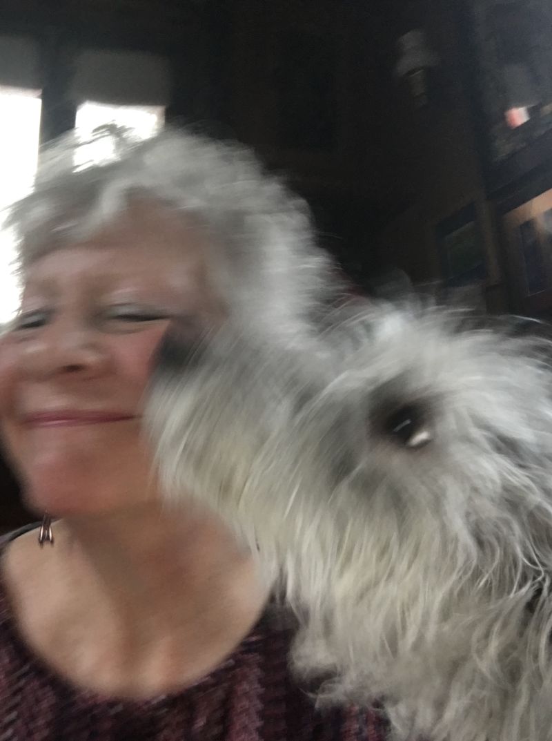 Narrowboatjill