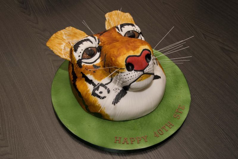 CAKELADY2020