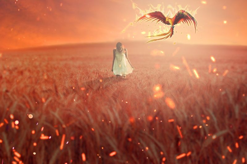 phoenixOC