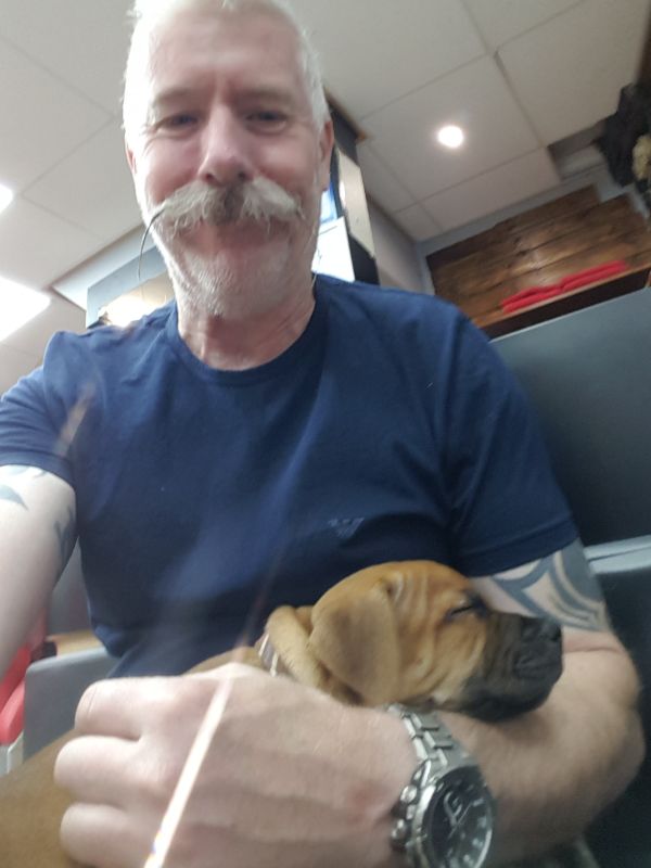 TheTache