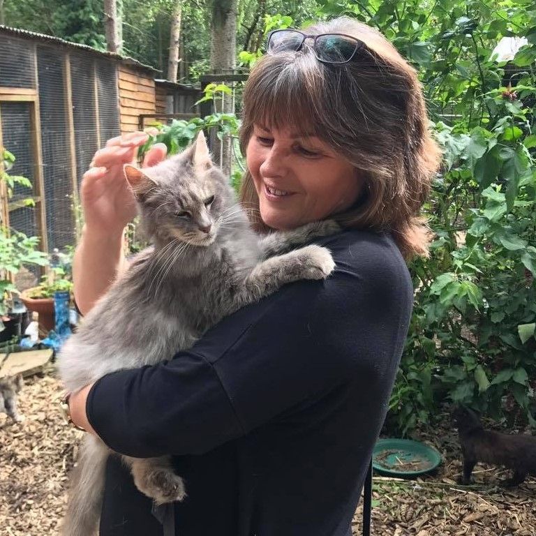 NewYearStart NewYearStart