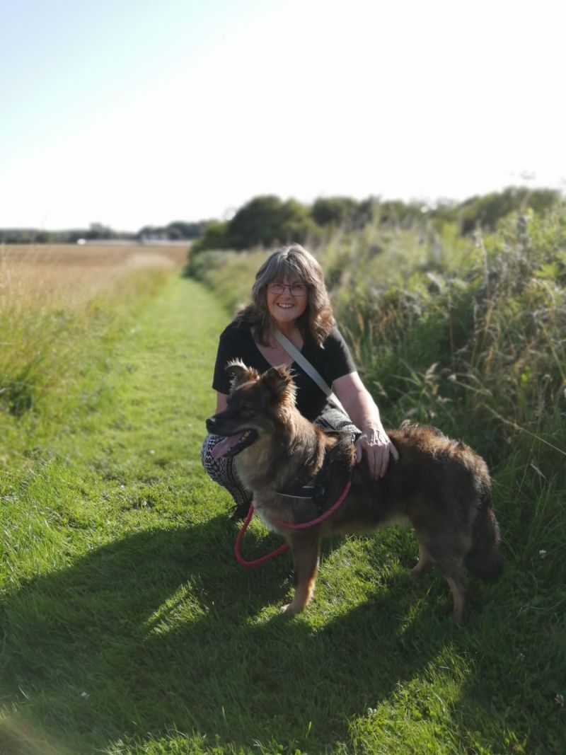 NewYearStart NewYearStart