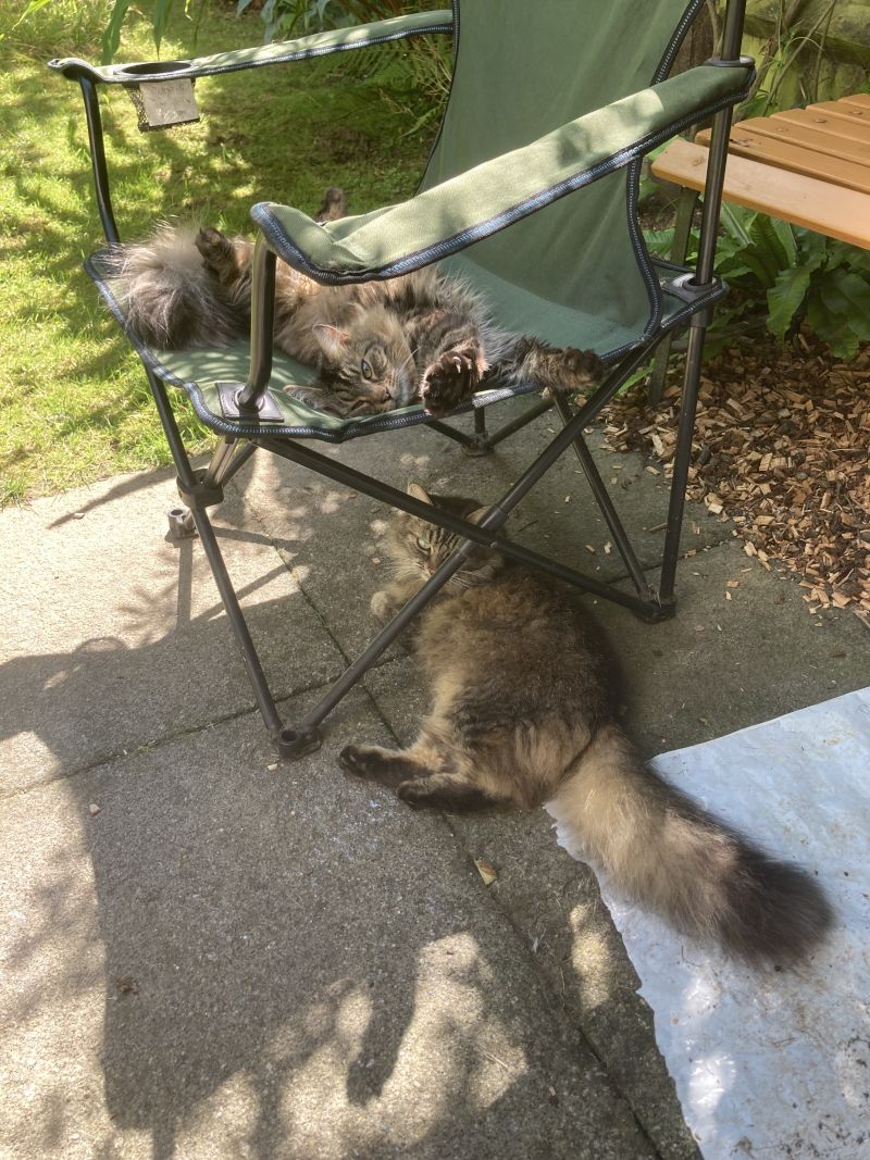 My_name_is_Mike My_name_is_Mike